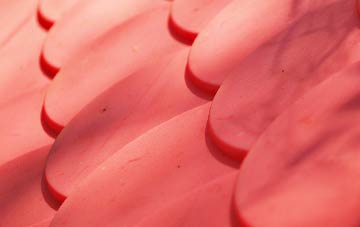 Burcott plastic roof costs