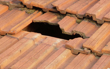 roof repair Burcott
