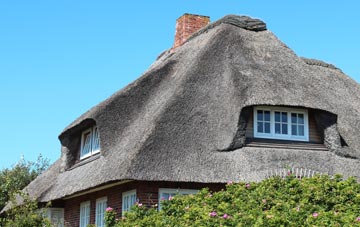 thatch roofing Burcott