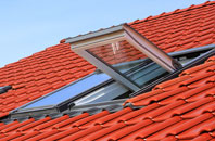 Burcott roof window